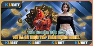 Trải nghiệm độc đáo với Đá Gà Trực tiếp trên mạng Kubet.