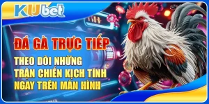 Đá gà trực tiếp