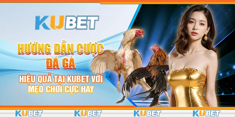 cược đá gà hiệu quả