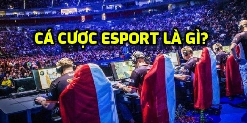 Cá cược Esport không chỉ giới hạn ở một trò chơi